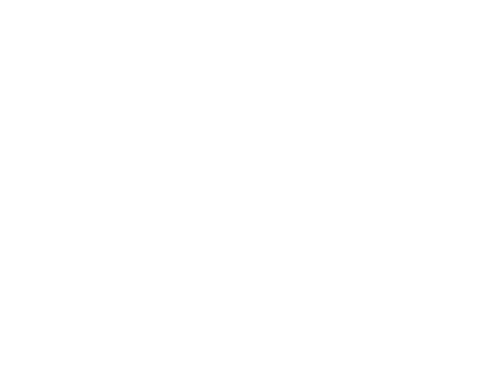 RHS Award Silver Guilt 1 - Pam Duffell